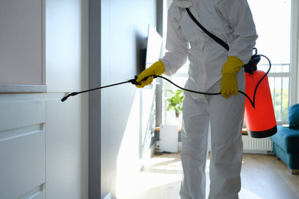 Best Commercial Mold Removal  in Maypearl, TX