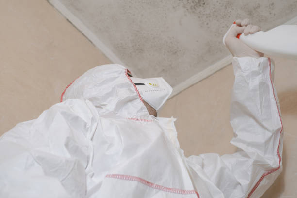 Home Mold Removal in Maypearl, TX
